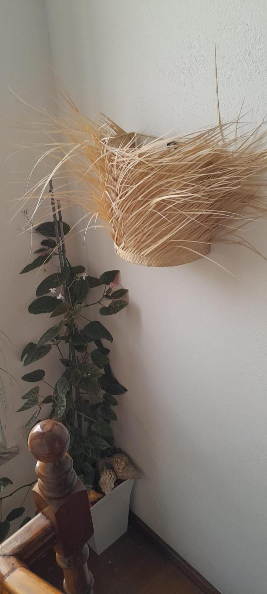 דירות Santo André Casa Malaquias מראה חיצוני תמונה